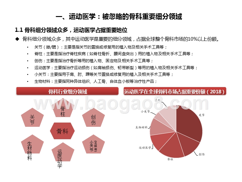 2020运动医学市场国产替代品发展分析报告.pptx_第4页