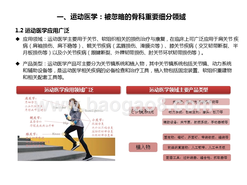 2020运动医学市场国产替代品发展分析报告.pptx_第5页