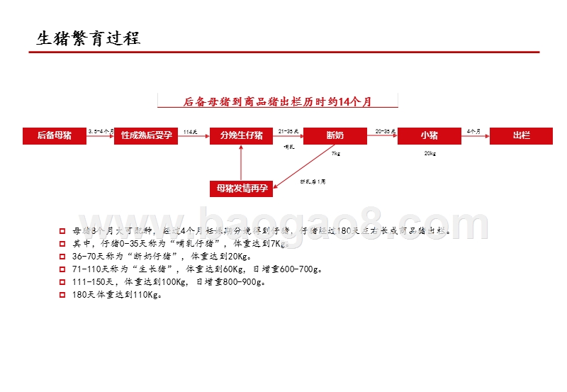 2020非瘟疫苗研发进展对饲料养殖市场影响分析报告.pptx_第3页