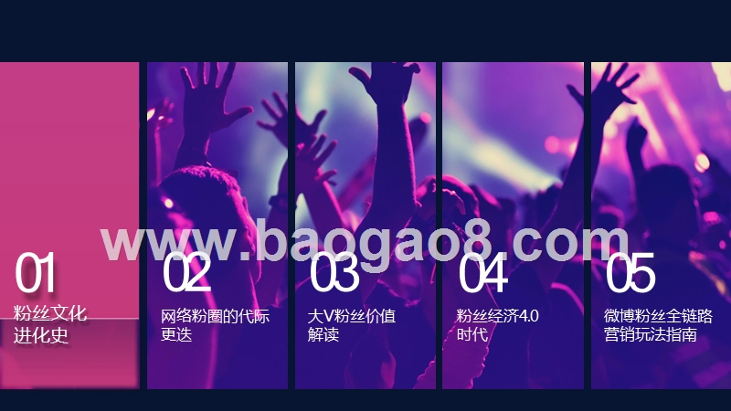 2020粉丝经济研究报告.pptx_第2页