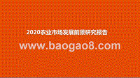 2020农业市场发展前景研究报告.pptx