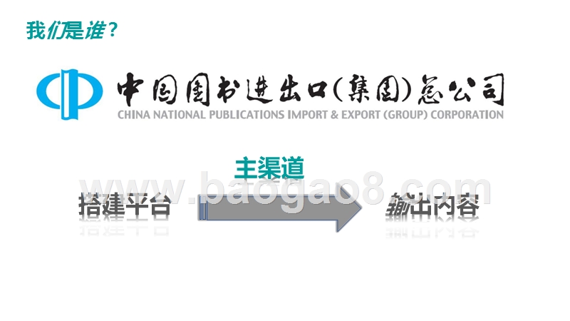 2020中国图书全球化发展分析报告.pptx_第5页