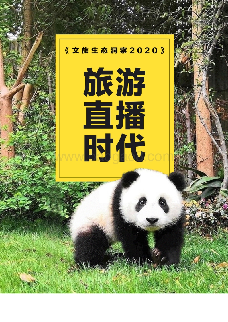 2020文旅生态洞察：旅游直播世代.pdf_第1页