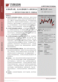 券商2019年报和2020年一季报综述：自营拖累业绩，龙头优势稳固中小券商有亮点.pdf