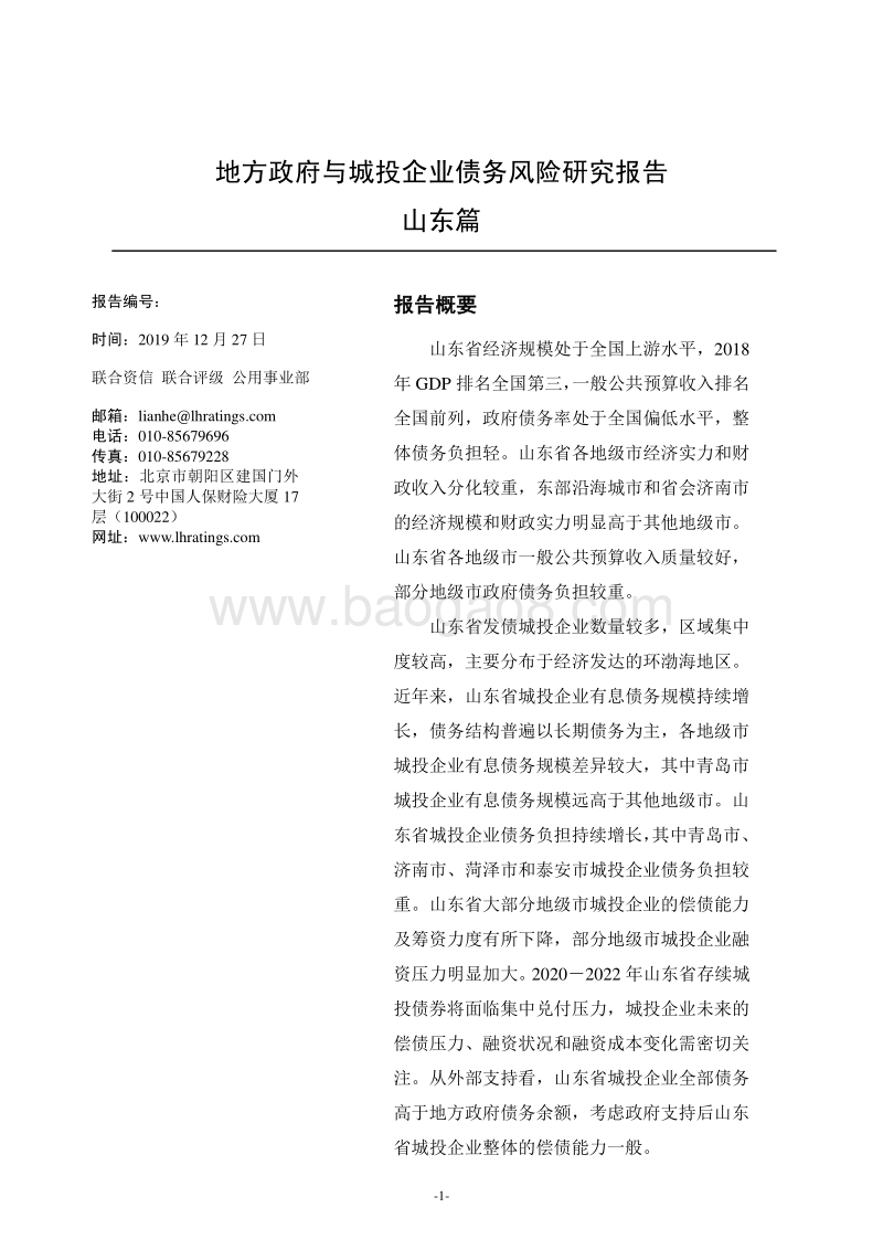 地方政府与城投企业债务风险研究报告山东篇.pdf_第2页