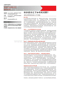 本轮消费政策的三个角度：经济重压之下如何促消费？.pdf