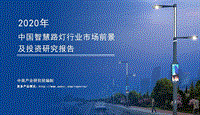 2020年中国智慧路灯行业市场前景及投资研究报告.pdf