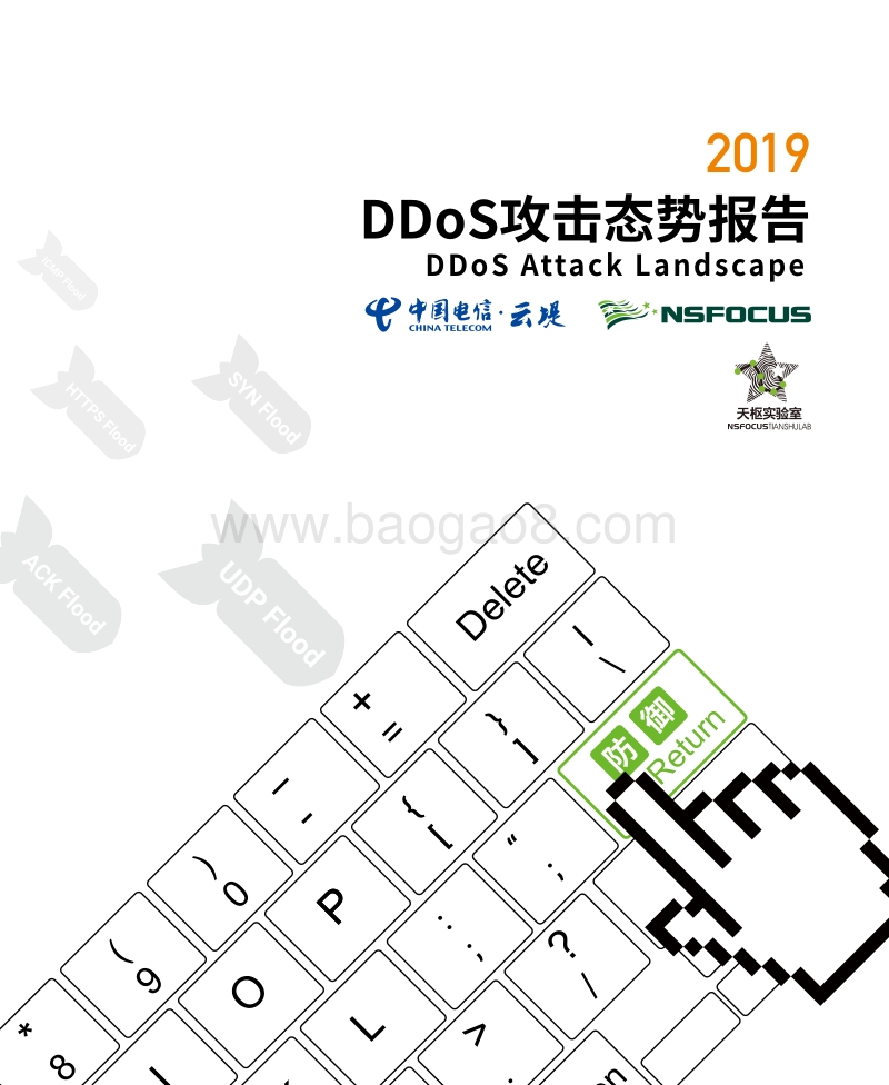2019DDoS攻击态势报告.pdf_第1页