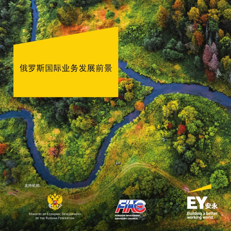 俄罗斯国际业务发展前景.pdf_第1页