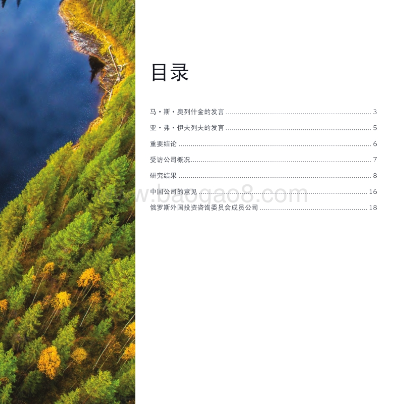 俄罗斯国际业务发展前景.pdf_第3页