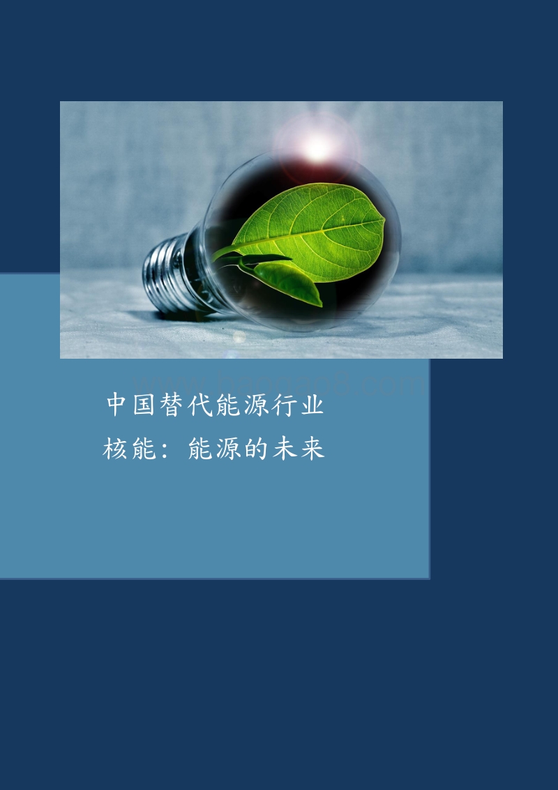 中国替代能源行业-核能：能源的未来.pdf_第1页