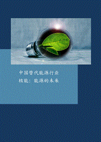 中国替代能源行业-核能：能源的未来.pdf
