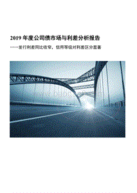 2019年度公司债市场与利差分析报告.pdf