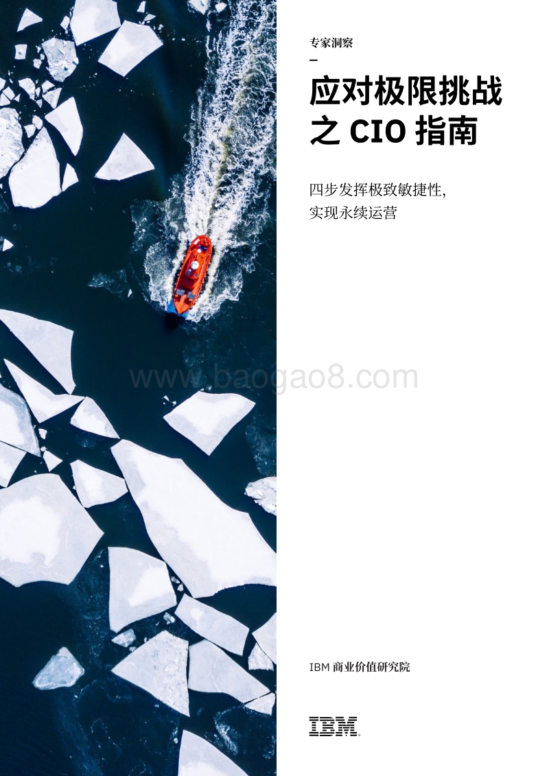 应对极限挑战之CIO指南.pdf_第1页