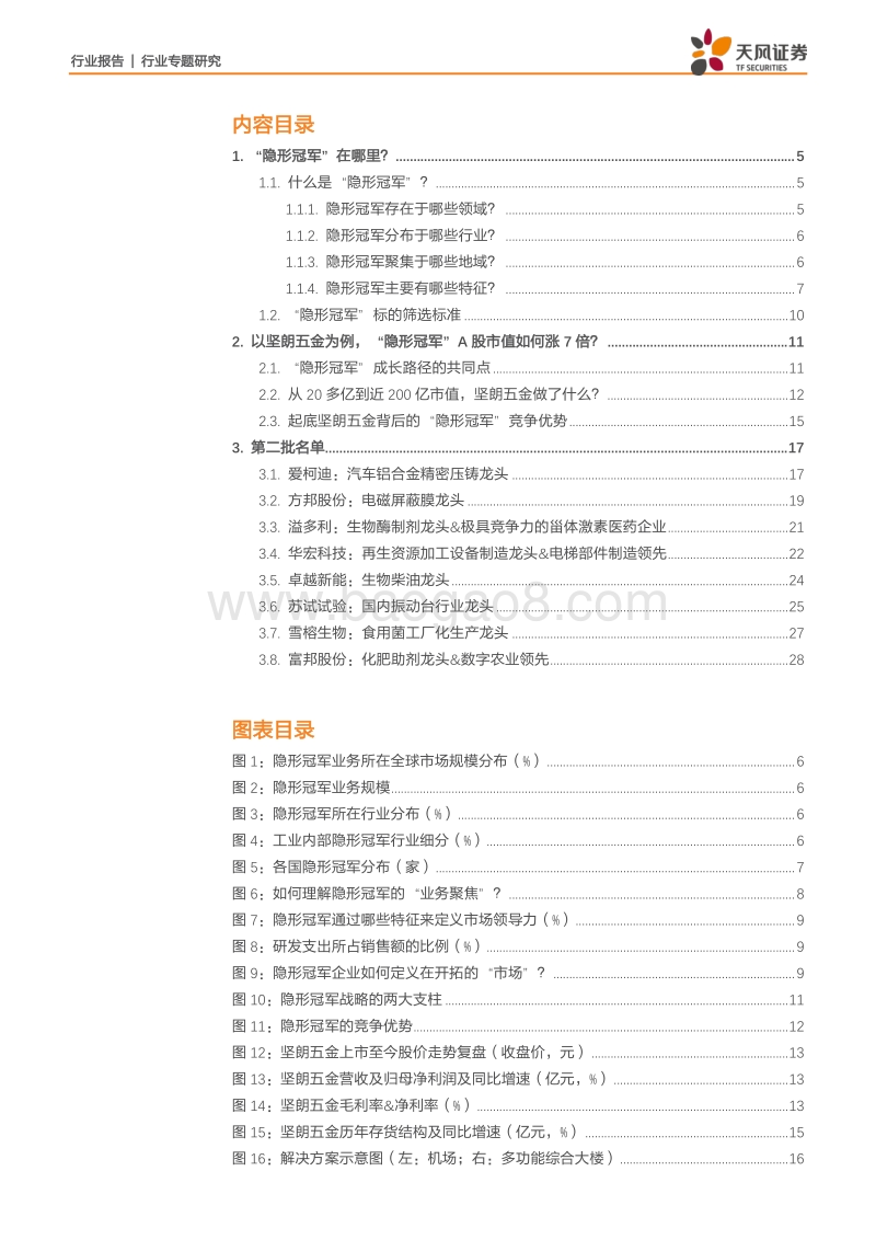 寻找A股中的“隐形冠军”系列之二：哪些小市值标的有望长大？.pdf_第2页