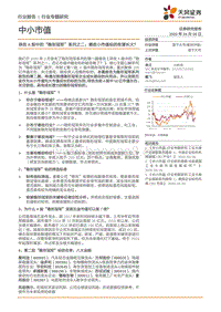 寻找A股中的“隐形冠军”系列之二：哪些小市值标的有望长大？.pdf