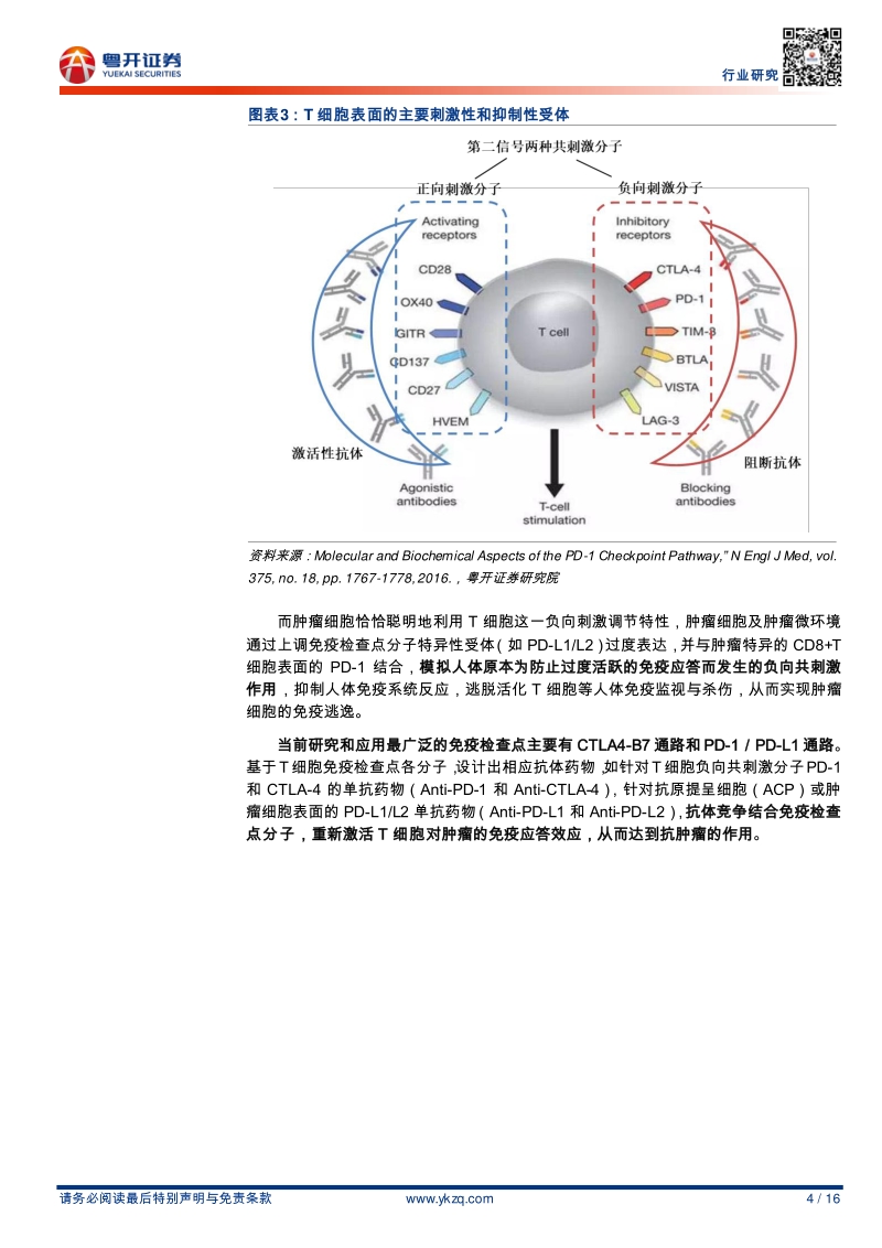 从PD-1（L1）单抗创新药看我国创新药企突围之路.pdf_第4页