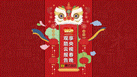 2020中央广播电视总台春节联欢晚会关注表现.pdf
