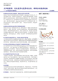太阳能屋顶：光伏差异化竞争的未来，特斯拉的能源战场.pdf