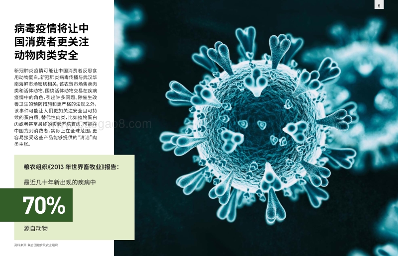 新冠肺炎疫情将改变中国人对肉类的态度.pdf_第3页