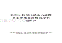 2019数字化转型推动电力能源企业高质量发展白皮书.pdf