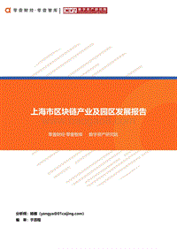 上海市区块链产业及园区发展报告.pdf