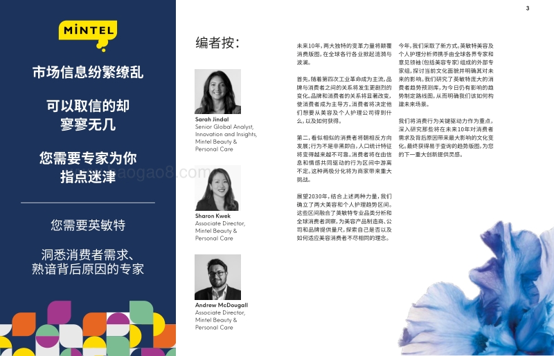 2030全球美容及个人护理趋势.pdf_第2页