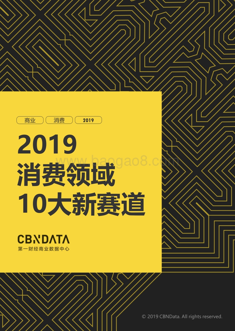 2019消费领域10大新赛道.pdf_第1页