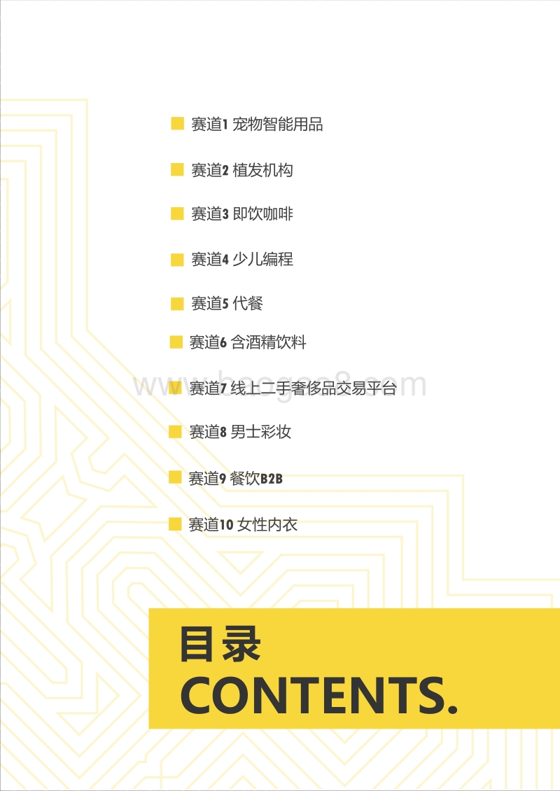 2019消费领域10大新赛道.pdf_第3页