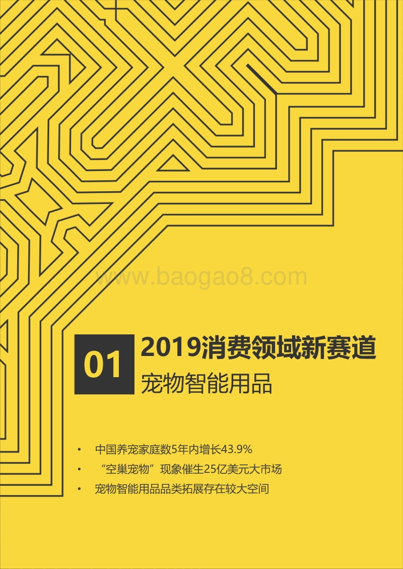2019消费领域10大新赛道.pdf_第4页