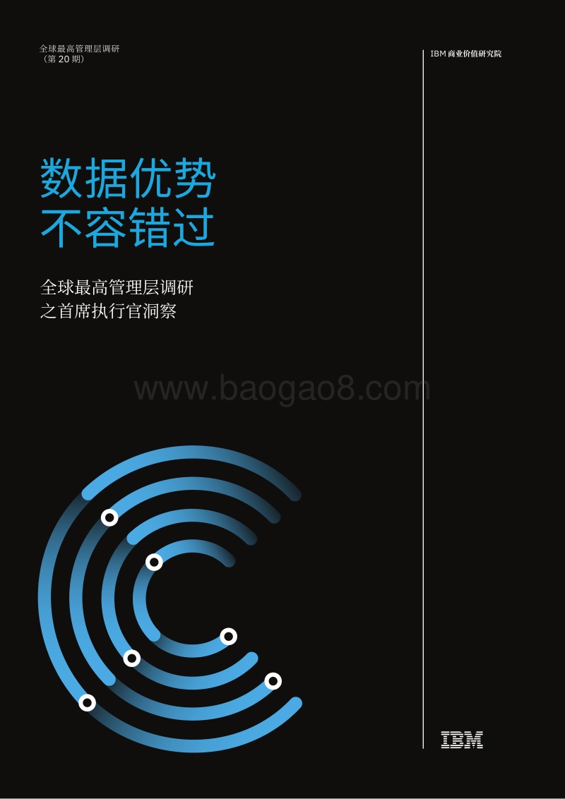 全球最高管理层调研之首席执行官洞察.pdf_第1页