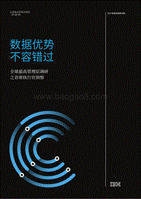 全球最高管理层调研之首席执行官洞察.pdf