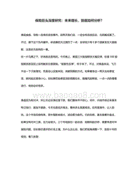 保险巨头深度研究：未来增长，到底如何分析？.pdf