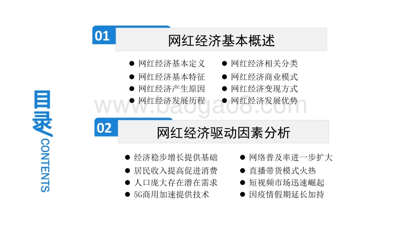 2020年中国网红经济市场前景及投资研究报告.pdf_第3页