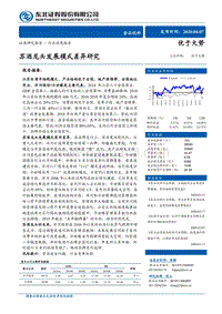 苏酒龙头发展模式差异研究.pdf