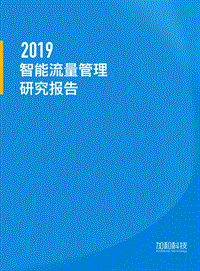 2019智能流量管理研究报告.pdf