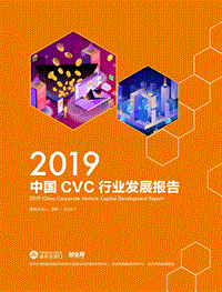 2019中国CVC行业发展报告.pdf