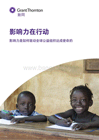 影响力在行动：影响力是如何驱动全球公益组织达成使命的.pdf