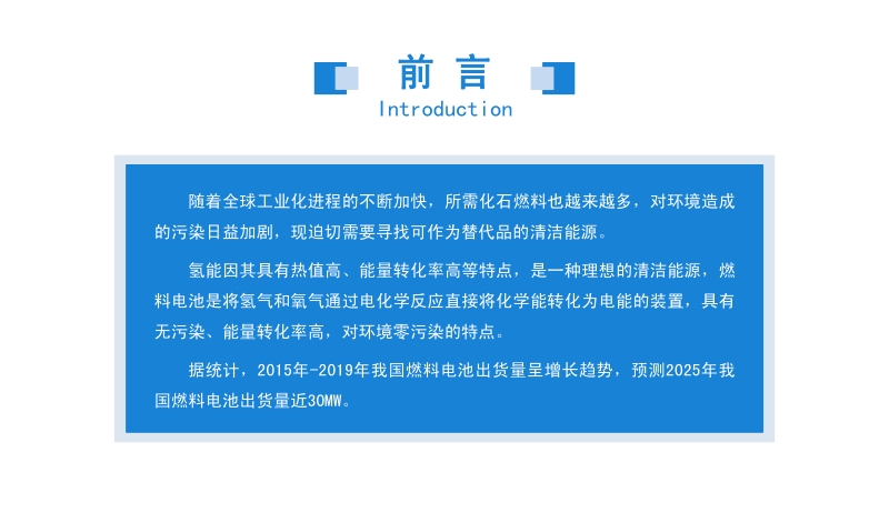 2020年中国燃料电池行业市场前景及投资研究报告.pdf_第2页