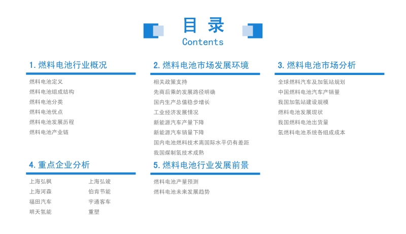 2020年中国燃料电池行业市场前景及投资研究报告.pdf_第3页