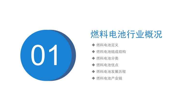 2020年中国燃料电池行业市场前景及投资研究报告.pdf_第4页