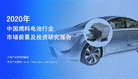 2020年中国燃料电池行业市场前景及投资研究报告.pdf