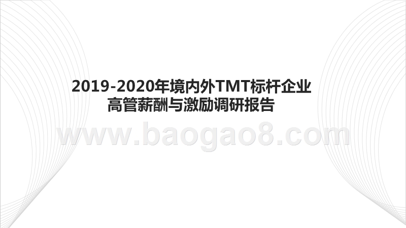 2019-2020年境内外TMT标杆企业高管薪酬与激励调研报告.pptx_第1页