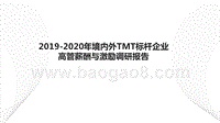 2019-2020年境内外TMT标杆企业高管薪酬与激励调研报告.pptx
