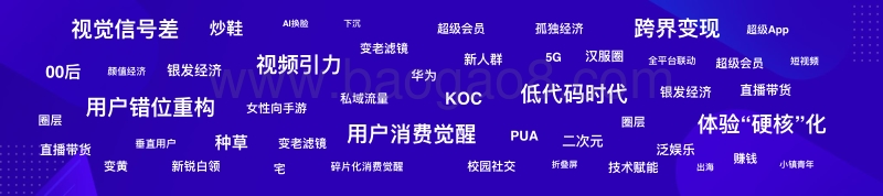 2019移动互联网年度现象关键词年度盘点.pdf_第2页