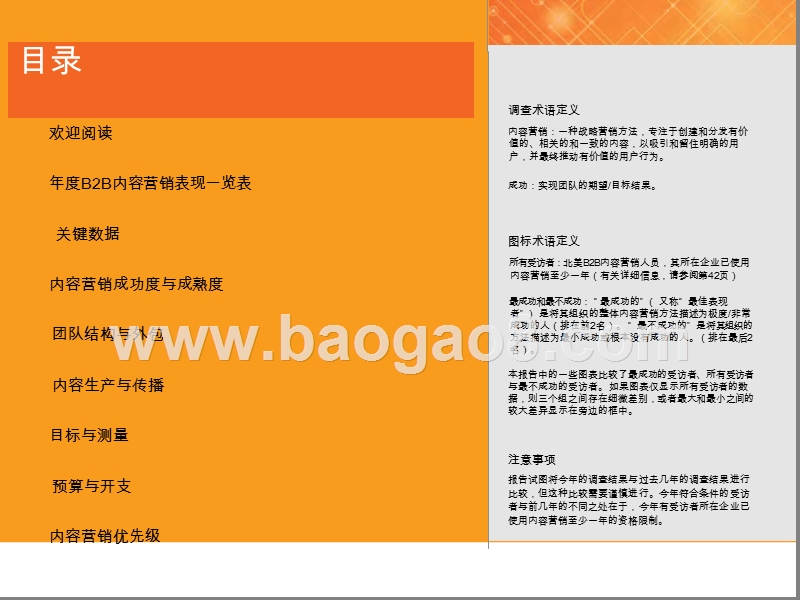 2020年内容营销分析报告.pptx_第2页