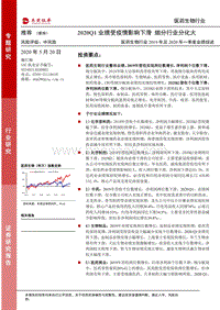 医药生物行业2019年及2020年一季度业绩综述：2020Q1业绩受疫情影响下滑，细分行业分化大.pdf