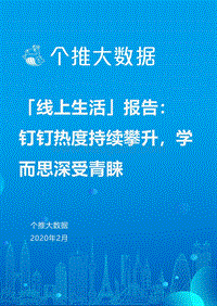线上生活报告.pdf