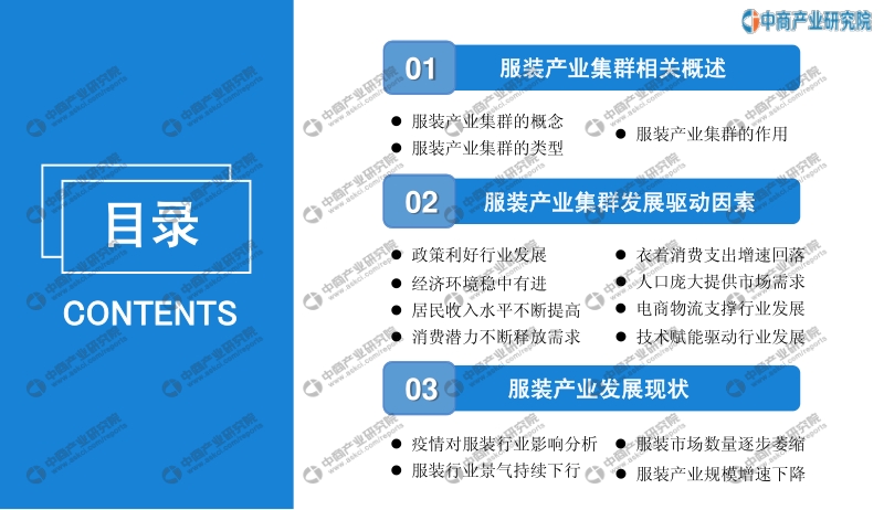 2020年中国服装产业集群市场前景及投资研究报告.pdf_第3页