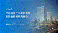 2020年中国服装产业集群市场前景及投资研究报告.pdf